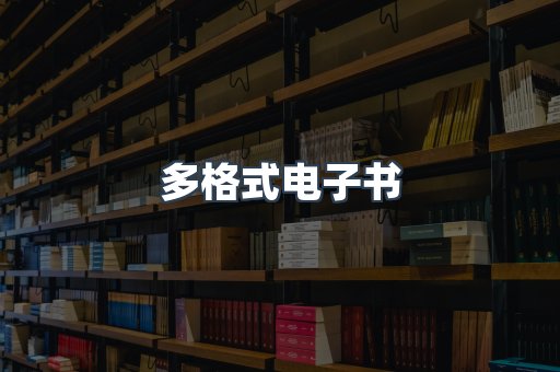 海外电子书